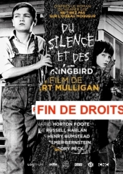 DU SILENCE ET DES OMBRES